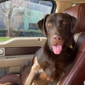 Meet your Posher, Garrison